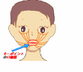 お口の筋肉療法イメージ図2
